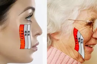 4.webp.jpg
